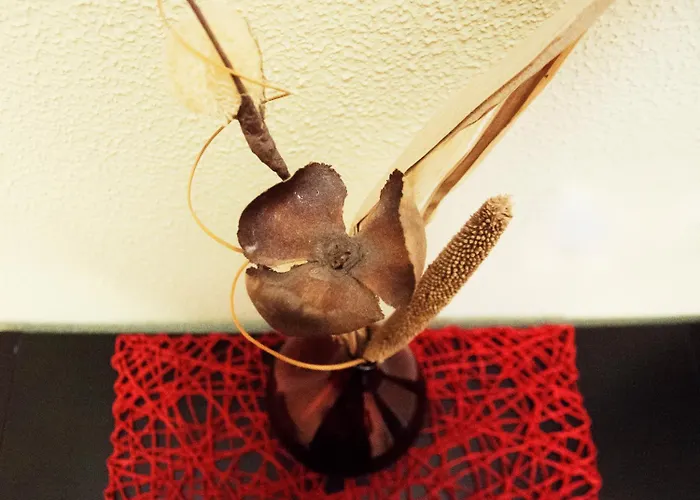 Frühstückspension Citylife 4*