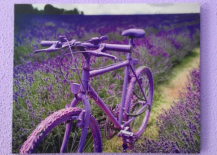 Citylife Frühstückspension 4*