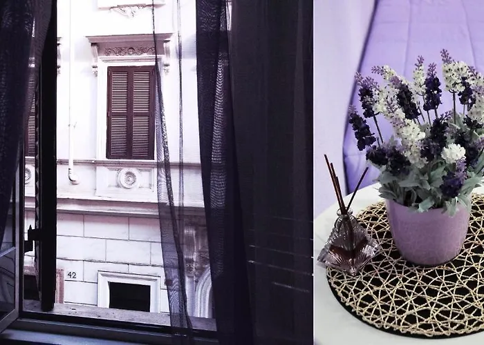 B&B Citylife
